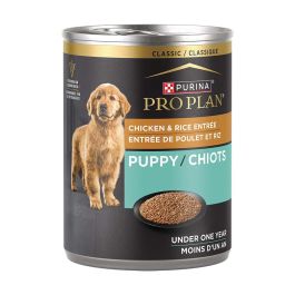 Feeding dog chicken and rice outlet