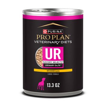 13.3 oz can of Purina Pro Plan Veterinary Diets UR urinary support chicken wet dog food in gravy.