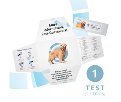 A single Petivity at home kidney health testing kit for dogs.