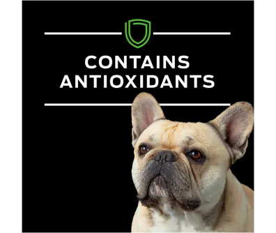 Purina Pro Plan Veterinary Diets HA Hydrolyzed Chicken Flavor Canine Formula (Canned)