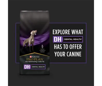 Explore what DH Dental Health has to offer your canine