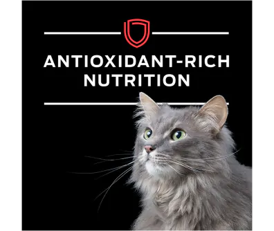Purina Pro Plan Veterinary Diets DM Dietetic Management Feline Formula (Canned)