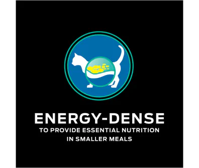 Purina Pro Plan Veterinary Diets EN Gastroenteric Feline Formula (Canned)