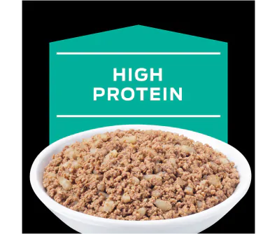 Purina Pro Plan Veterinary Diets EN Gastroenteric Feline Formula (Canned)