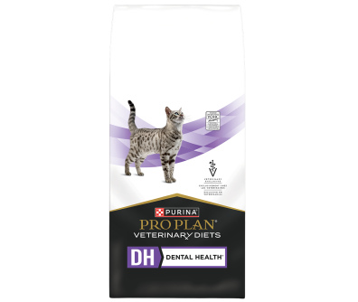 Feline dental food cheap