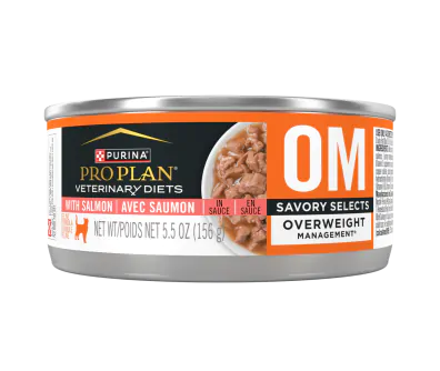 Purina en wet cat food shop