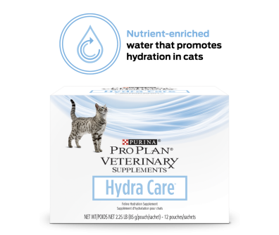 Cat nutrition supplements store