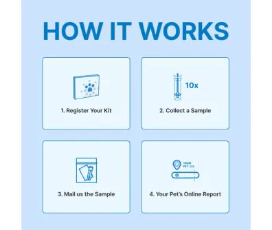 How it works: (1) Register your kit; (2) Collect a sample; (3) Mail us the sample; (4) Your pet's online report