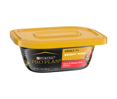 Wet food for senior dogs sale