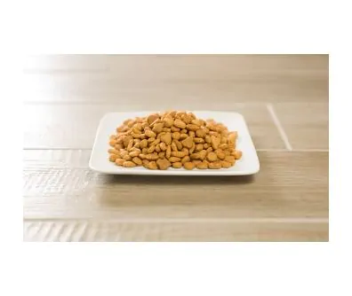 Purina Pro Plan Specialized Adult Indoor Hairball Turkey & Rice Formula Cat Food