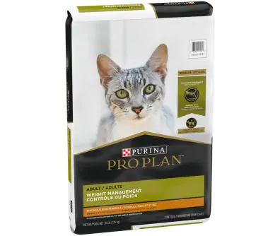 Kitten chow age shop