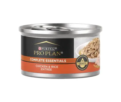 Pro plan chunky chicken entree outlet