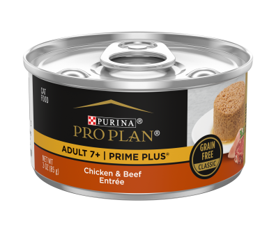 Chicken and rice wet cat food clearance