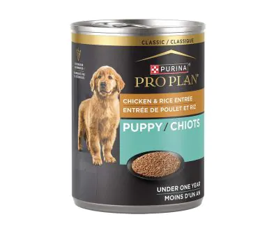 Pro Plan Chicken Rice Wet Puppy Food Pro Plan Vet Direct