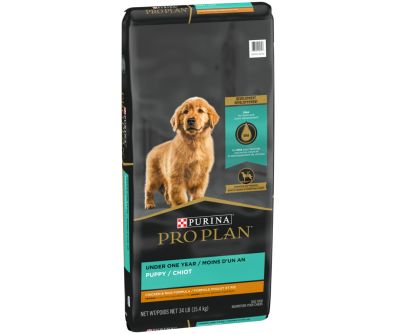 How long does a dog need puppy food outlet