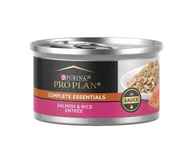 Purina pro plan salmon and rice cat food sale