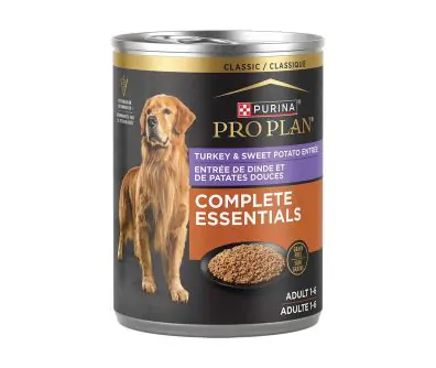 Purina puppy savor clearance