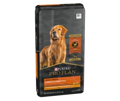 Chicken rice dog food sale