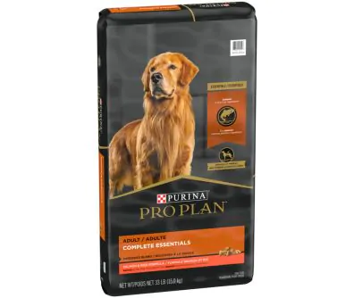 Purina pro plan focus salmon deals