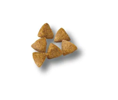 close up of kibble