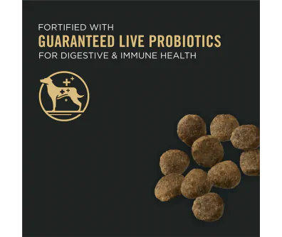 Purina Pro Plan Development Puppy Sensitive Skin & Stomach Salmon & Rice Formula Dog Food