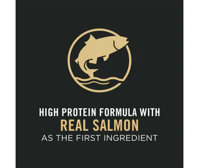 Purina Pro Plan Development Puppy Sensitive Skin & Stomach Salmon & Rice Formula Dog Food