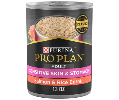 Pro Plan Sensitive Stomach Salmon Wet Dog Food Pro Plan Vet Direct