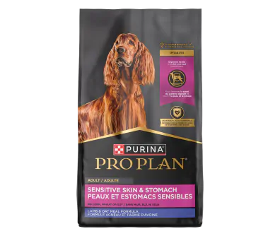 Pro Plan Sensitive Stomach Lamb Dry Dog Food | Pro Plan Vet Direct