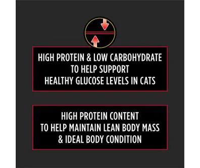 Purina Pro Plan Veterinary Diets DM Dietetic Management Feline Formula