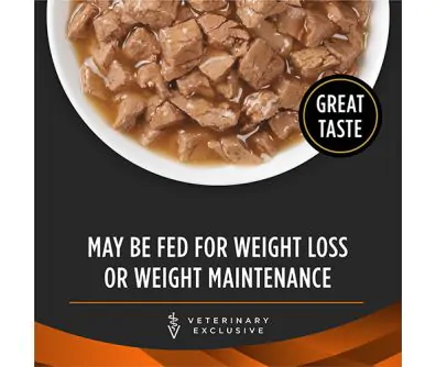 Purina om canned dog food hot sale