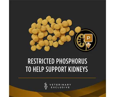 Purina pro plan nf kidney function dog food best sale
