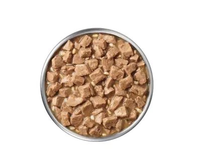 Pro Plan Vet Diets EN Gastro Lamb Wet Dog Food | Pro Plan Vet Direct