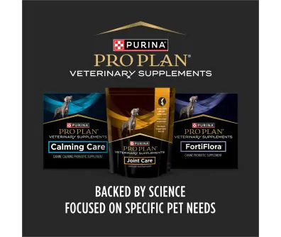 PPVS FortiFlora Chewable Dog Supplement | Pro Plan Vet Direct