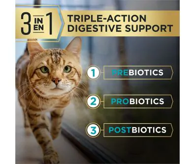 Pro Plan AdvantEDGE Digestive Support Cat Food | Pro Plan Vet Direct