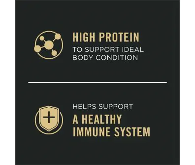 Dog food package label highlighting High Protein and Helps Support a Healthy Immune System