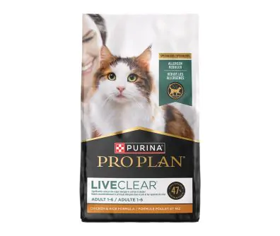 How Much to Feed a Cat Pet Supplies: Essential Guide