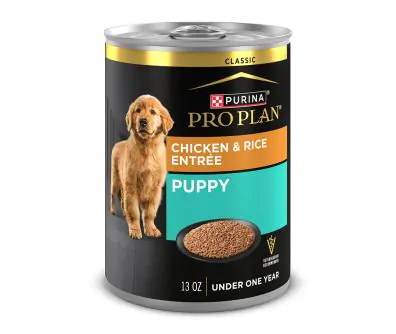 Pro Plan Chicken & Rice Paté Wet Puppy Food | Pro Plan Vet Direct