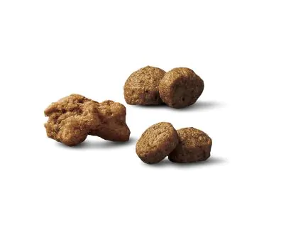 Purina Pro Plan Small Breed Shredded Blend chicken and rice dry dog food kibble.