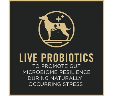 Purina Pro Plan dog food package label highlighting live probiotics to promote gut microbiome resilience.