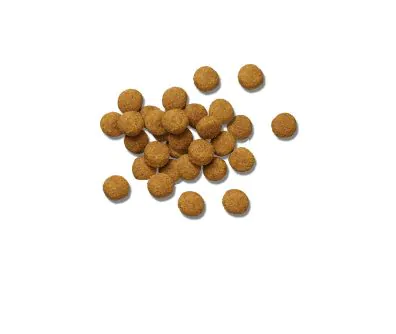 Pro Plan Veterinary Diets DH Dental Health Dry Dog Food kibble.