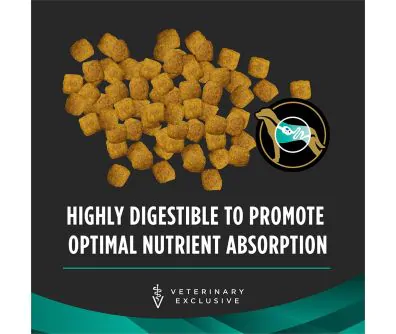 Pro Plan Veterinary Diets EN Gastroenteric Dry Dog Food is highly digestible to promote optimal nutrient absorption.