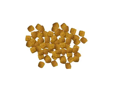 Pro Plan Veterinary Diets EN Gastroenteric Dry Dog Food kibble.