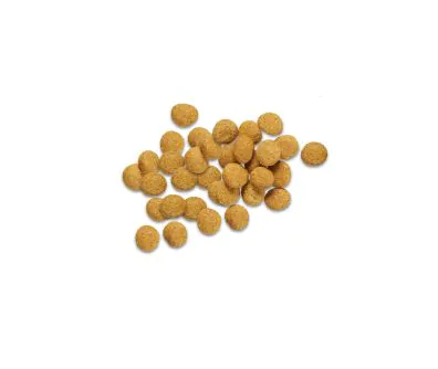  Pro Plan Veterinary Diets EN Gastroenteric Low Fat Dry Dog Food kibble.