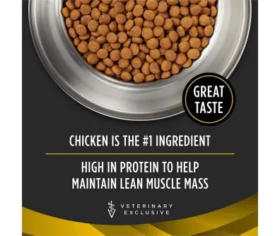 Pro Plan Veterinary Diets NC Neurocare Dry Dog Food has chicken as the #1 ingredient.