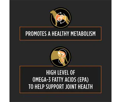 Pro Plan Veterinary Diets OM Metabolic Response and Joint Mobility Dry Dog Food promotes a healthy metabolism and supports joint health.