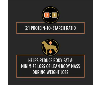 Pro Plan Veterinary Diets OM Metabolic Response and Joint Mobility Dry Dog Food helps reduce body fat.