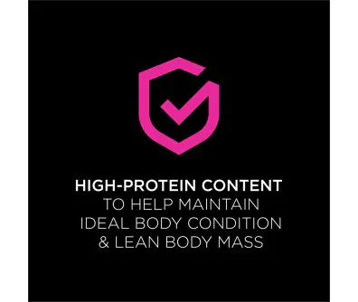 Pro Plan Veterinary Diets UR Savory Selects Urinary St/Ox Wet Cat Food helps maintain ideal body condition and lean body mass.