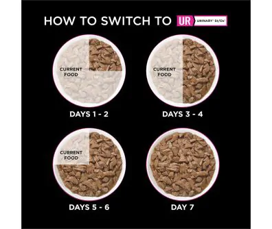 How to switch to Pro Plan Veterinary Diets UR Savory Selects Urinary St/Ox Wet Cat Food.