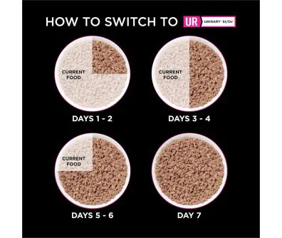How to switch to Pro Plan Veterinary Diets UR Urinary St/Ox Wet Cat Food