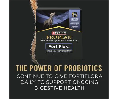PPVS FortiFlora Canine Diarrhea Response Kit | Pro Plan Vet Direct